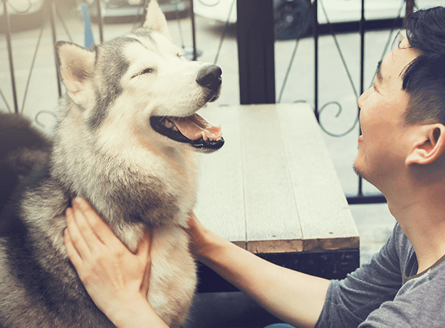 ペット相談イメージ画像